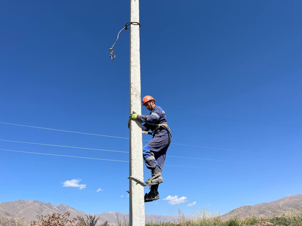 photo_5235682146373013826_y