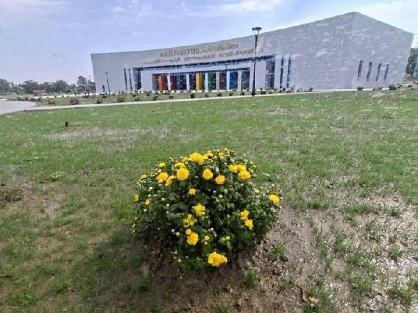 photo_5301244809261554793_x
